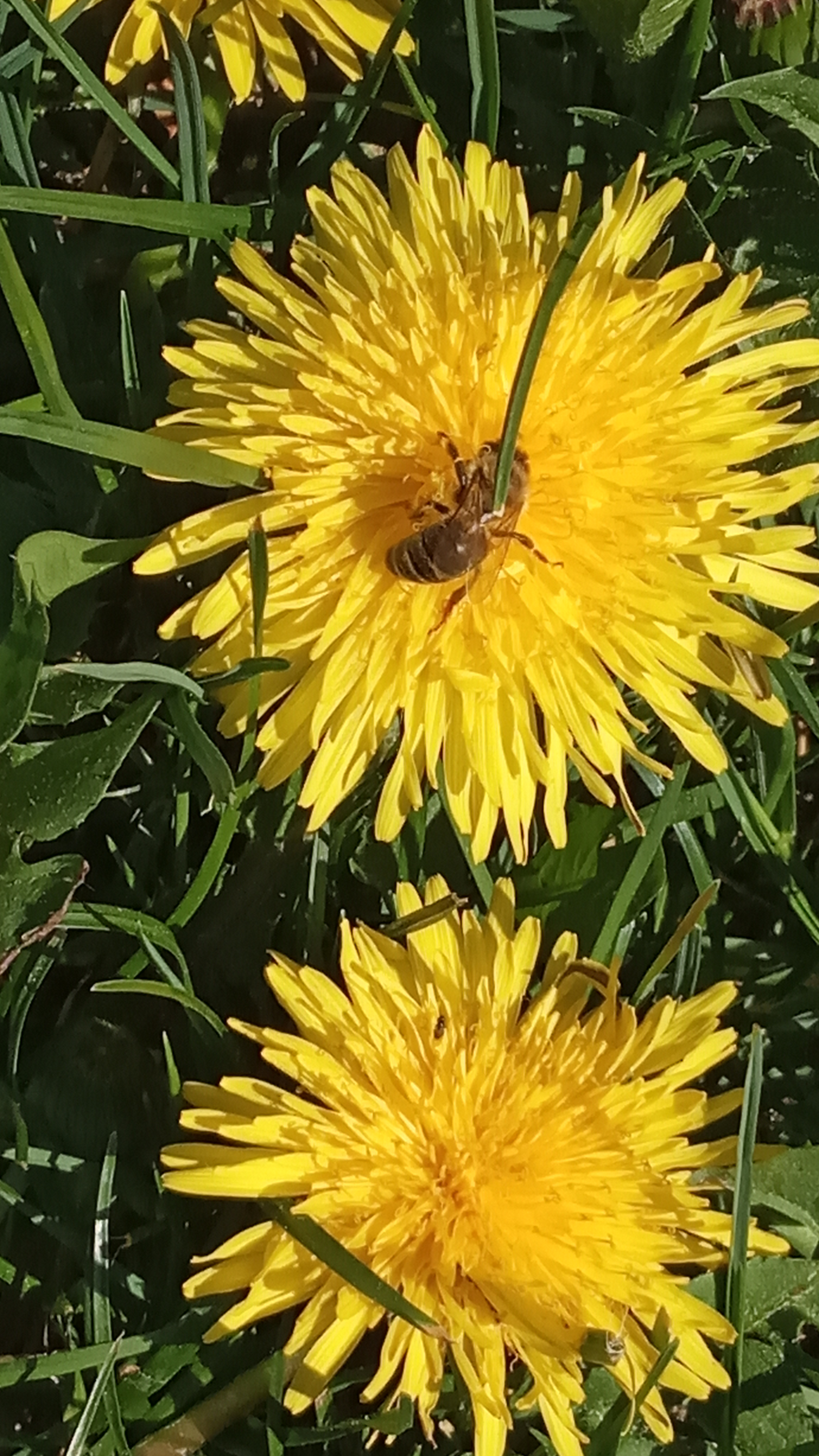 Jakub Pikosz kl. 3c.jpg